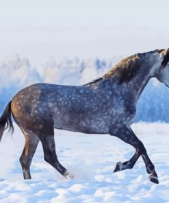 Dapple Horse In Snow Diamond Painting