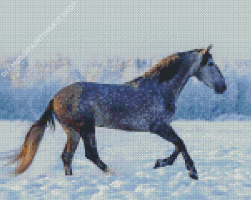 Dapple Horse In Snow Diamond Painting