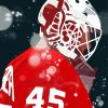 Detroit Red Wings Diamond Painting