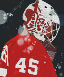 Detroit Red Wings Diamond Painting