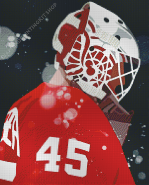 Detroit Red Wings Diamond Painting