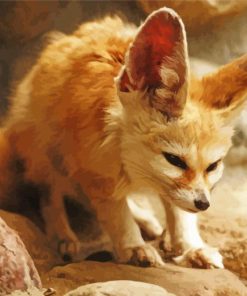 Fennec Fox Diamond Painting