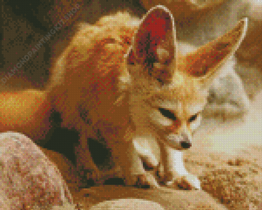 Fennec Fox Diamond Painting