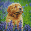 Golden Puppy In Lavender Field Diamond Painting