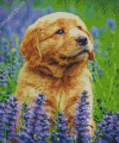 Golden Puppy In Lavender Field Diamond Painting