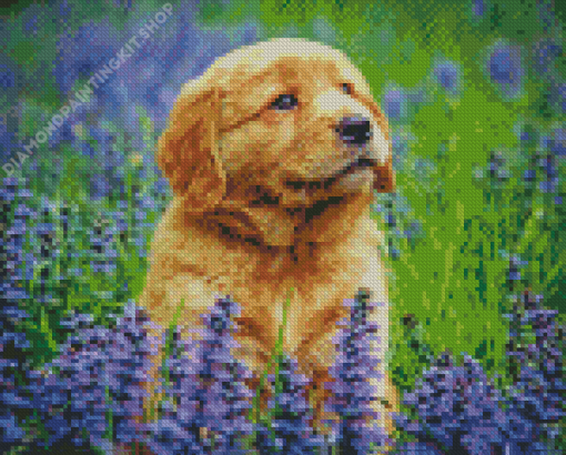 Golden Puppy In Lavender Field Diamond Painting