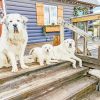 Great Pyrenees Family Diamond Painting