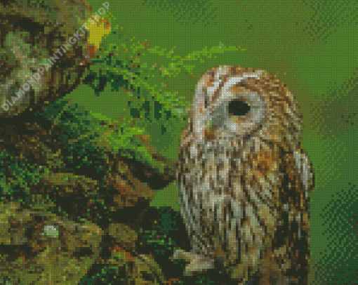 Hawk In A Forest Diamond Painting