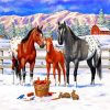 Horses Winter On The Ranch Diamond Painting