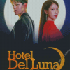 Hotel Del Luna Serie Poster Diamond Painting