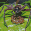 Huntsman Spider With Prey Diamond Painting