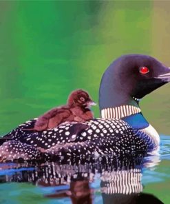 Loon With baby Diamond Painting