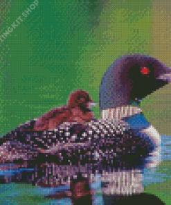 Loon With baby Diamond Painting