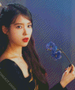 Lu Jang Man Wol Hotel Del Luna Serie Diamond Painting