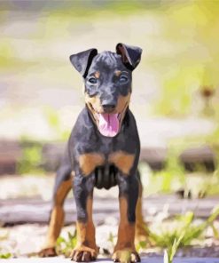 Manchester Terrier Puppy Diamond Painting