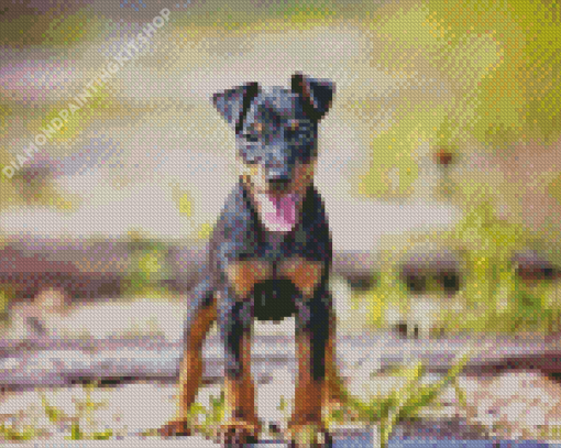 Manchester Terrier Puppy Diamond Painting