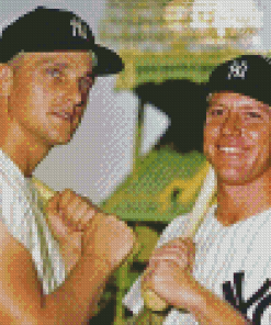 Mickey Mantle And Roger Maris Diamond Painting