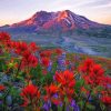 Mt St Helens With Red Poppies Diamond Painting