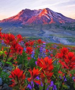 Mt St Helens With Red Poppies Diamond Painting