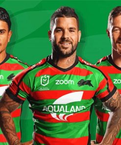 Nrl South Sydney Diamond Painting