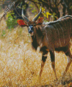 Nyala Diamond Painting