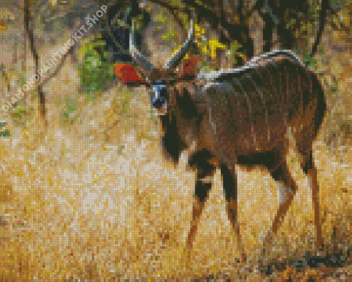 Nyala Diamond Painting