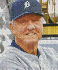 Old Al Kaline Diamond Painting