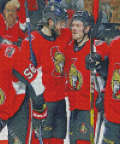 Ottawa Senators Players Diamond Painting