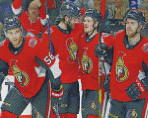 Ottawa Senators Players Diamond Painting