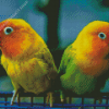 Parrot Love Bird Diamond Painting