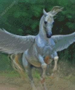 Pegasus Horse Fantasy Diamond Painting