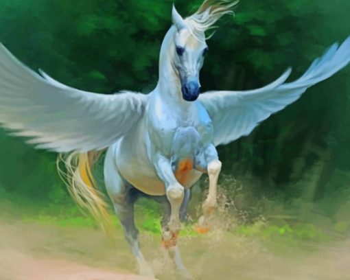 Pegasus Horse Fantasy Diamond Painting