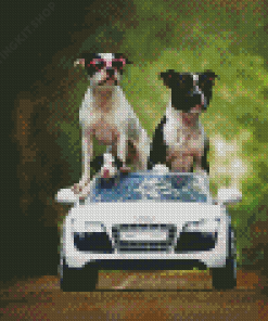 Pit Bull Family On Car Diamond Painting