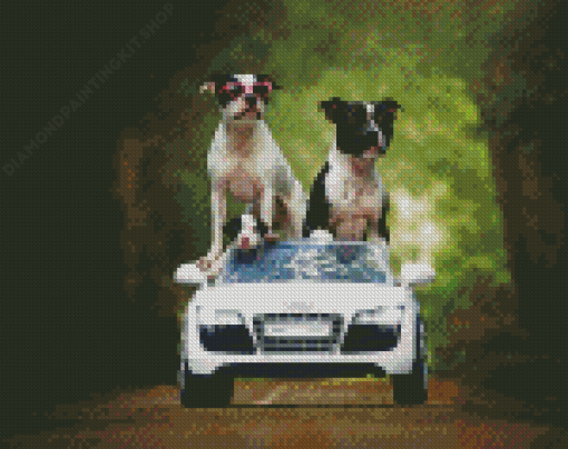 Pit Bull Family On Car Diamond Painting