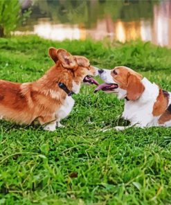 Playful Puppies Diamond Painting