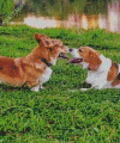 Playful Puppies Diamond Painting