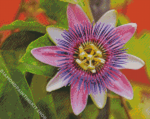 Purple Passionflower Flowering Plant Diamond Painting