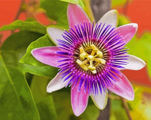 Purple Passionflower Flowering Plant Diamond Painting