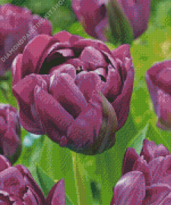 Purple Peonies Flowers Diamond Painting