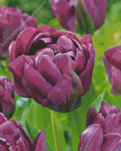 Purple Peonies Flowers Diamond Painting