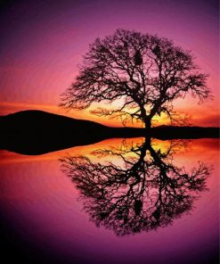 Reflection Tree By Water At Sunset Diamond Painting