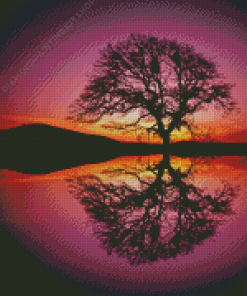 Reflection Tree By Water At Sunset Diamond Painting