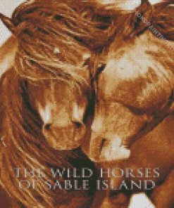 Sable Island Horses Diamond Painting