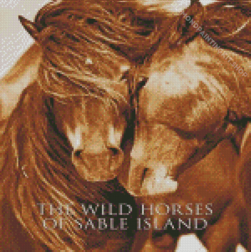 Sable Island Horses Diamond Painting