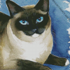 Siamese Snowshoe Diamond Painting