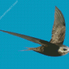 Swift Bird And Blue Sky Diamond Painting