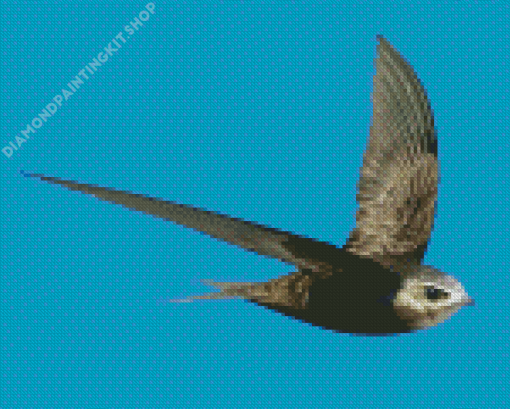 Swift Bird And Blue Sky Diamond Painting