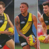 The Richmond Tigers Players Diamond Painting