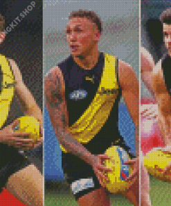 The Richmond Tigers Players Diamond Painting