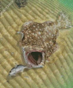 The Flounder Fish Diamond Painting